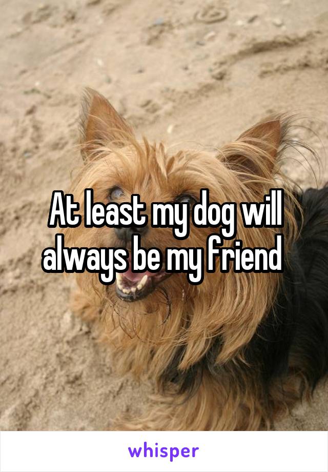 At least my dog will always be my friend 