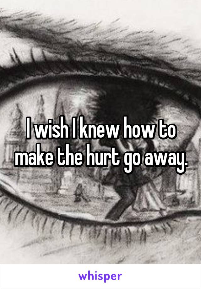 I wish I knew how to make the hurt go away.