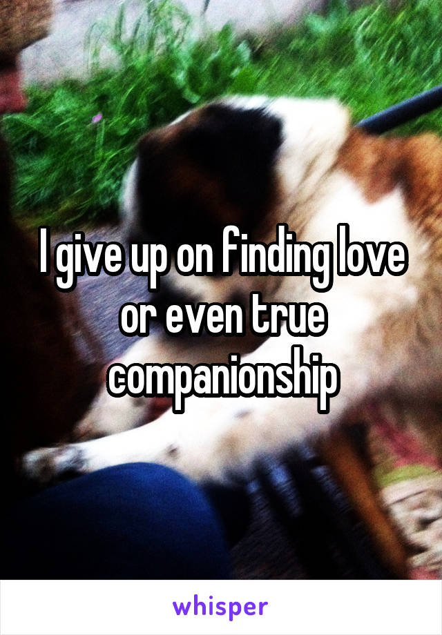 I give up on finding love or even true companionship