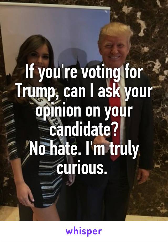 If you're voting for Trump, can I ask your opinion on your candidate?
No hate. I'm truly curious. 