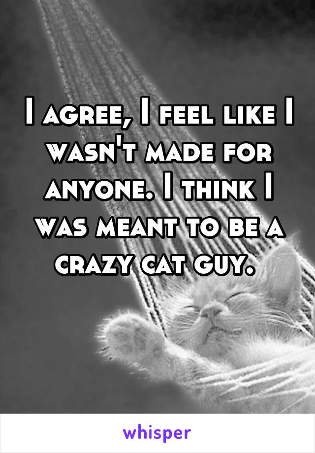 I agree, I feel like I wasn't made for anyone. I think I was meant to be a crazy cat guy. 

