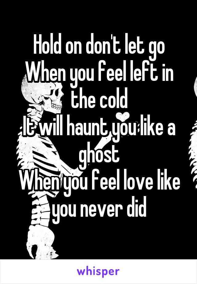 Hold on don't let go
When you feel left in the cold
It will haunt you like a ghost
When you feel love like you never did
