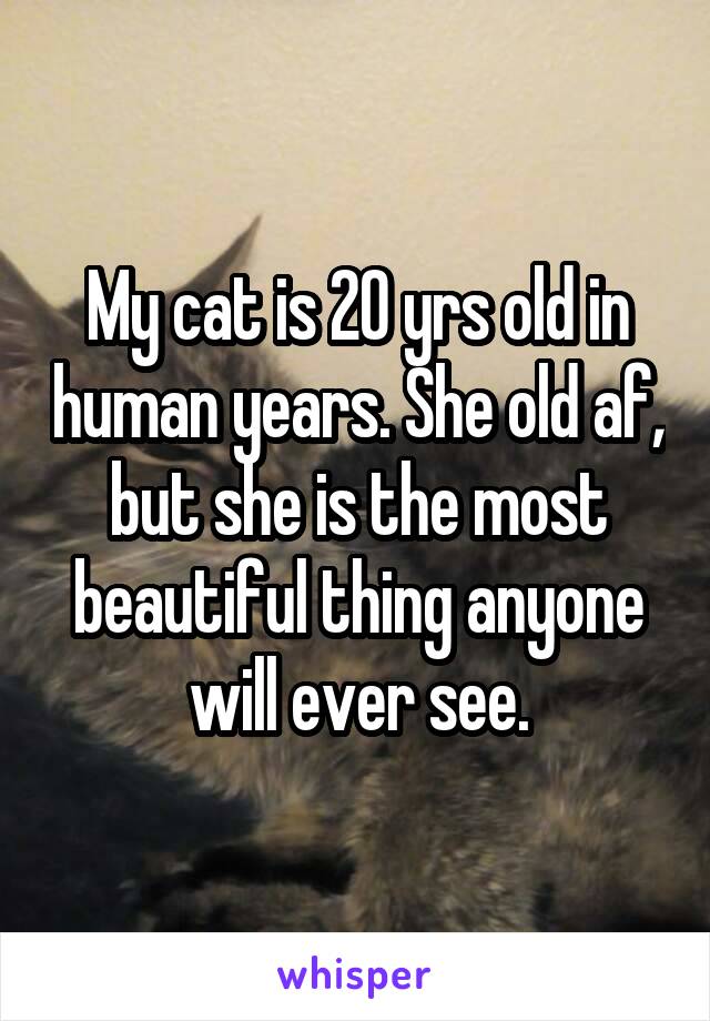 My cat is 20 yrs old in human years. She old af, but she is the most beautiful thing anyone will ever see.