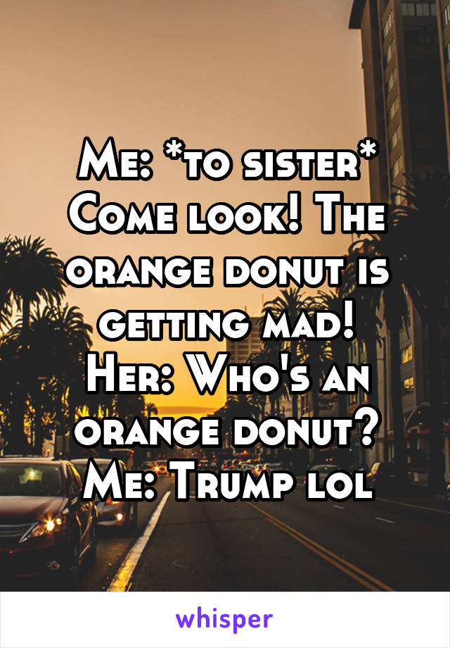 Me: *to sister* Come look! The orange donut is getting mad!
Her: Who's an orange donut?
Me: Trump lol