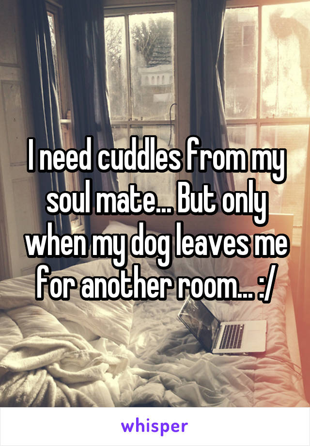 I need cuddles from my soul mate... But only when my dog leaves me for another room... :/