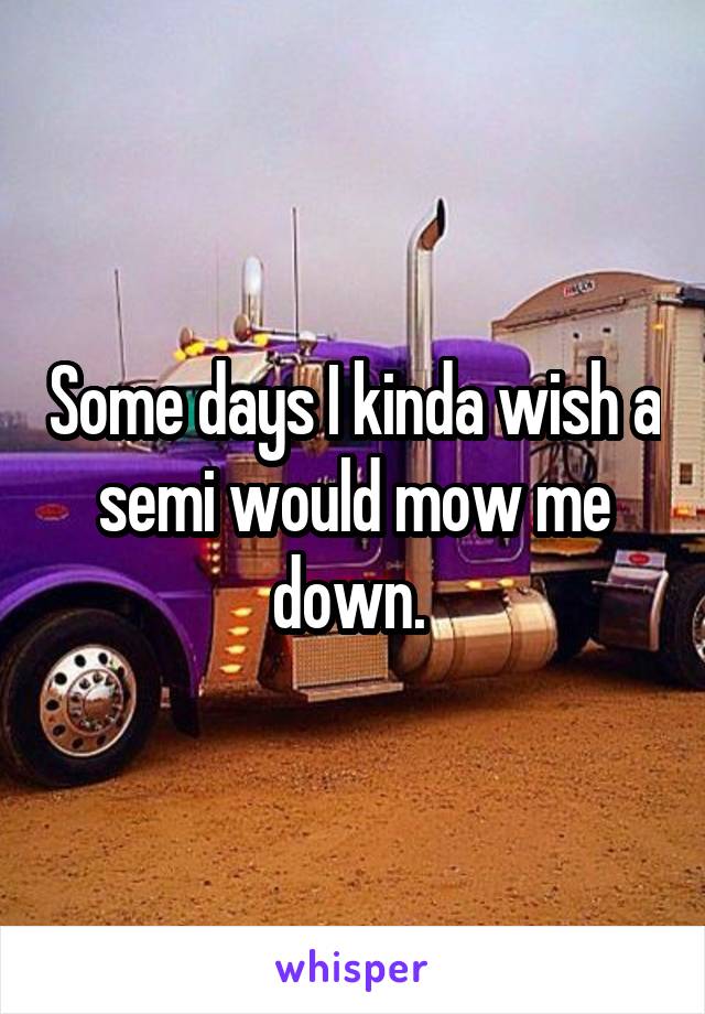 Some days I kinda wish a semi would mow me down. 