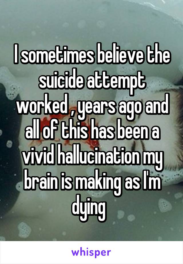 I sometimes believe the suicide attempt worked , years ago and all of this has been a vivid hallucination my brain is making as I'm dying  