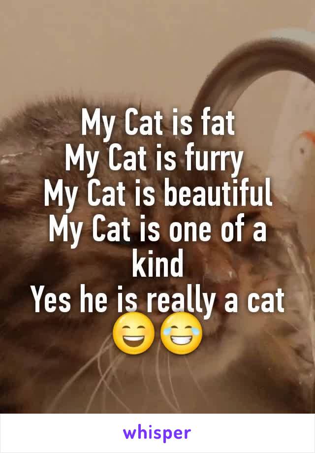 My Cat is fat
My Cat is furry 
My Cat is beautiful
My Cat is one of a kind
Yes he is really a cat 😄😂