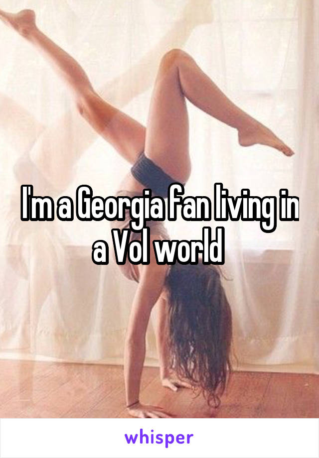 I'm a Georgia fan living in a Vol world 