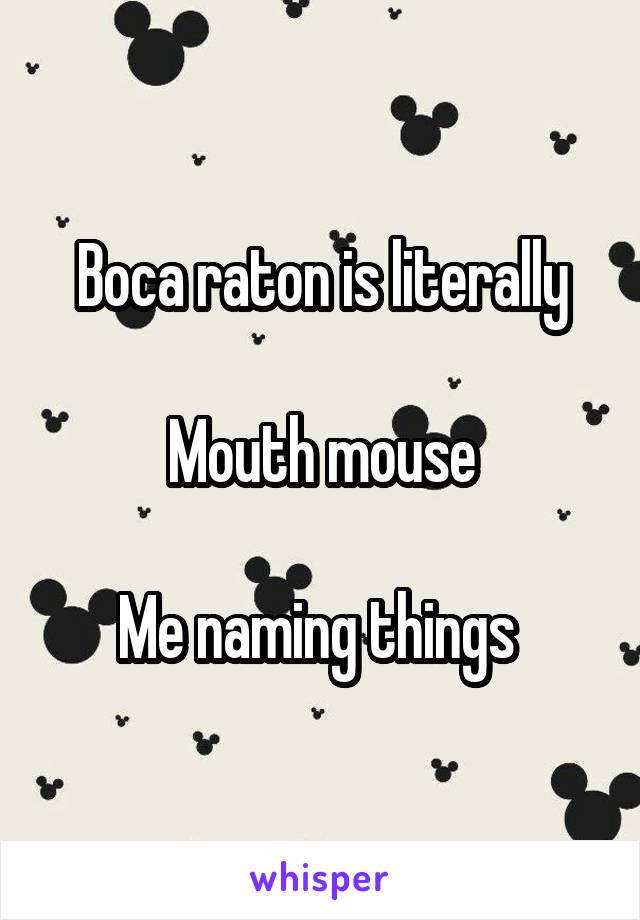 Boca raton is literally

Mouth mouse

Me naming things 