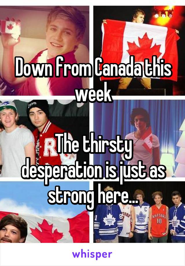 Down from Canada this week

The thirsty desperation is just as strong here...