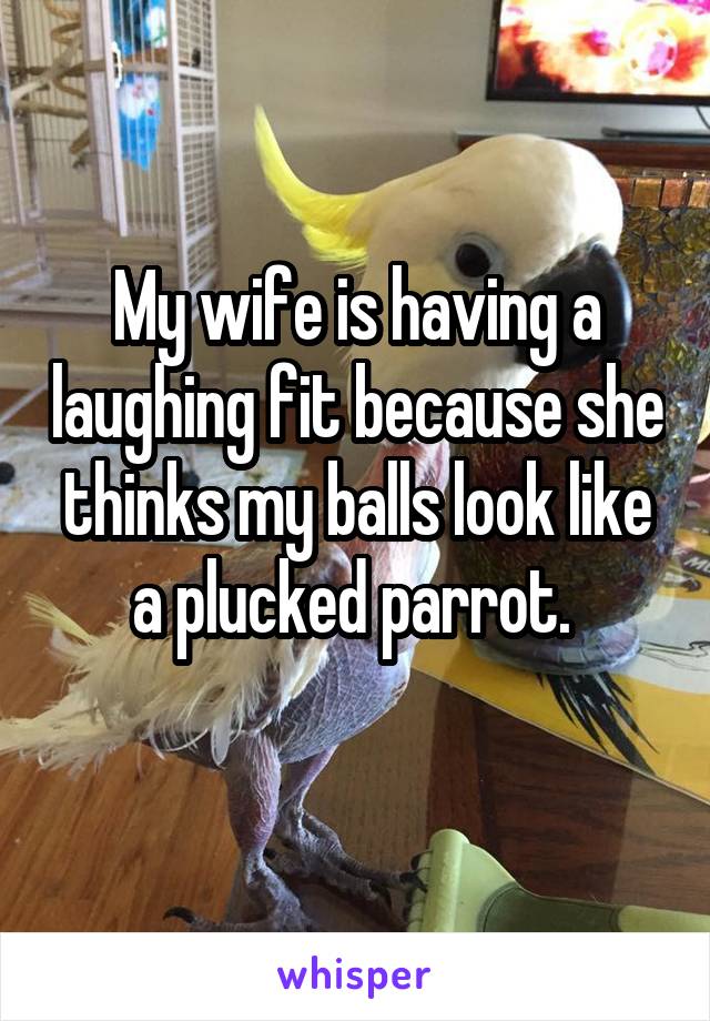 My wife is having a laughing fit because she thinks my balls look like a plucked parrot. 
