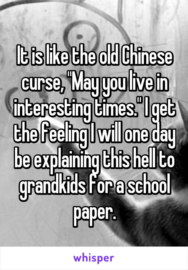 It is like the old Chinese curse, "May you live in interesting times." I get the feeling I will one day be explaining this hell to grandkids for a school paper.