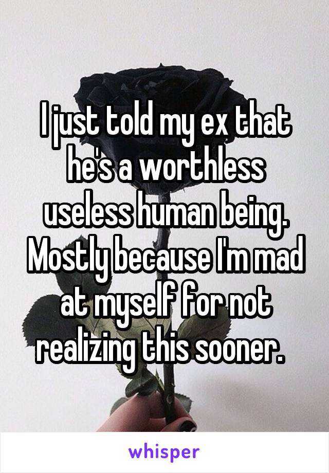 I just told my ex that he's a worthless useless human being. Mostly because I'm mad at myself for not realizing this sooner.  