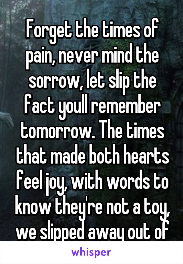 Forget the times of pain, never mind the sorrow, let slip the fact youll remember tomorrow. The times that made both hearts feel joy, with words to know they're not a toy, we slipped away out of