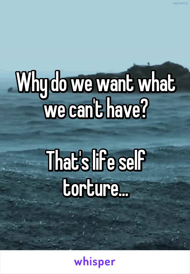 Why do we want what we can't have?

That's life self torture...