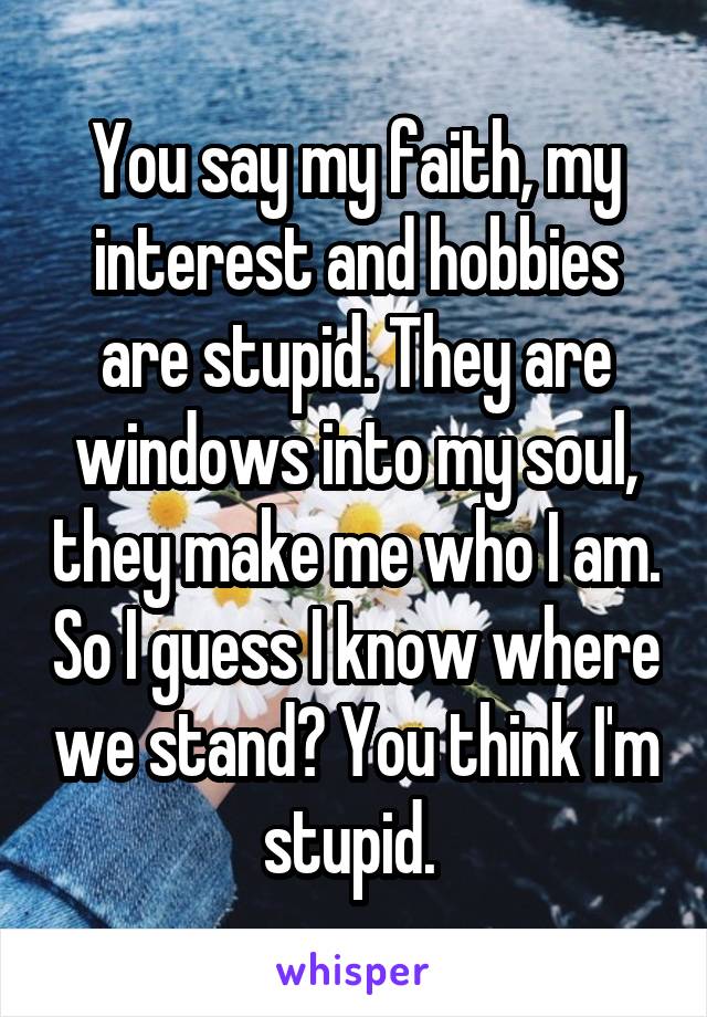 You say my faith, my interest and hobbies are stupid. They are windows into my soul, they make me who I am. So I guess I know where we stand? You think I'm stupid. 