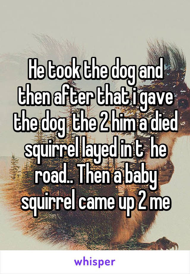 He took the dog and then after that i gave the dog  the 2 him a died squirrel layed in t  he road.. Then a baby squirrel came up 2 me