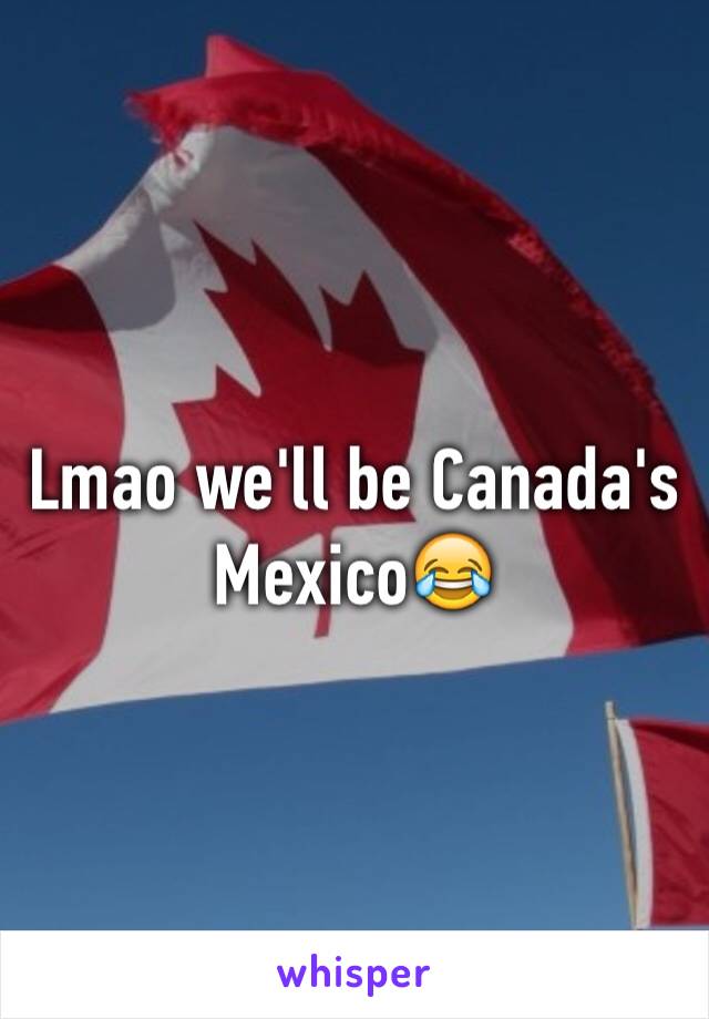 Lmao we'll be Canada's Mexico😂