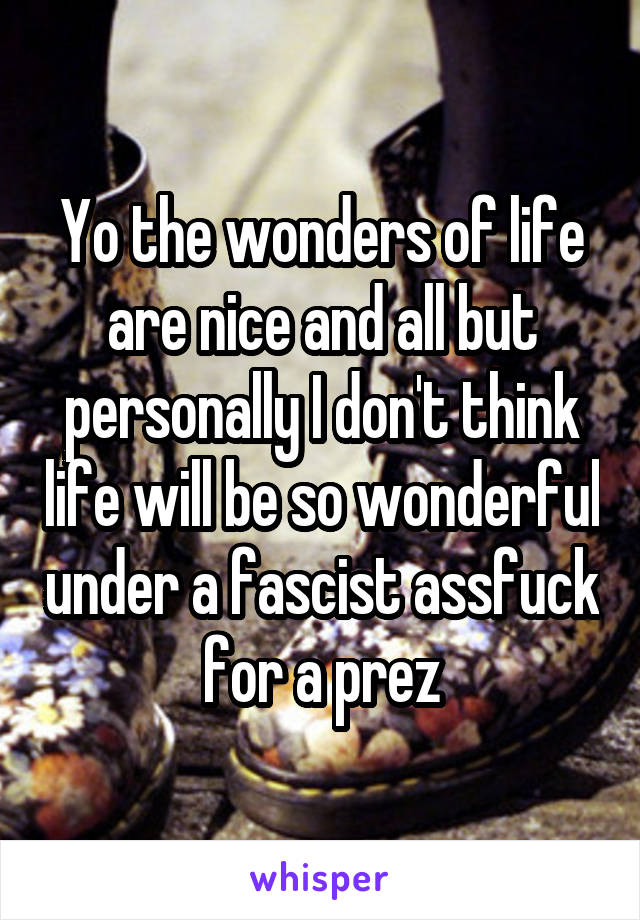 Yo the wonders of life are nice and all but personally I don't think life will be so wonderful under a fascist assfuck for a prez