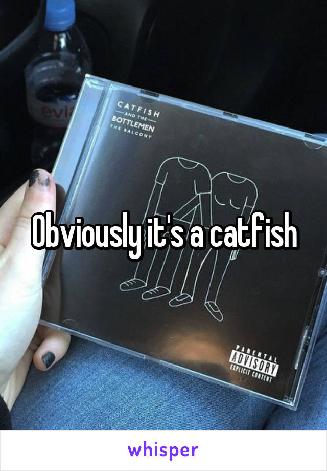 Obviously it's a catfish