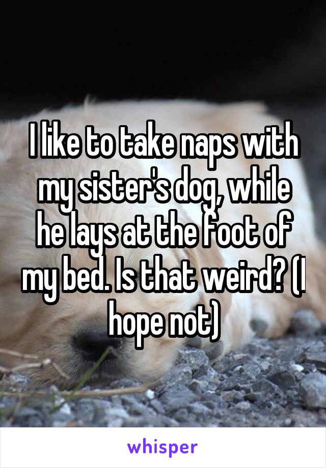 I like to take naps with my sister's dog, while he lays at the foot of my bed. Is that weird? (I hope not)