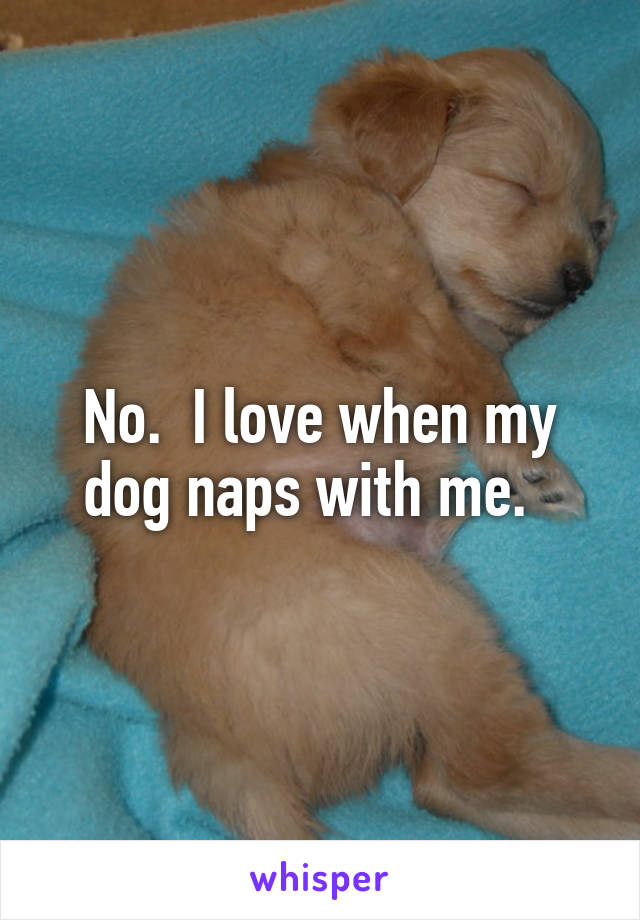 No.  I love when my dog naps with me.  