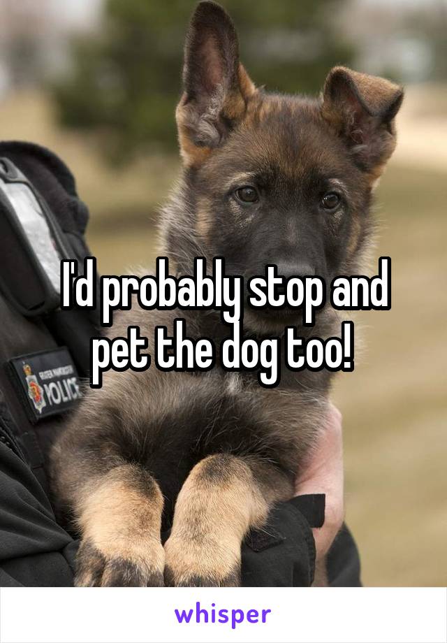 I'd probably stop and pet the dog too! 