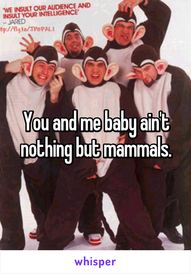 You and me baby ain't nothing but mammals.