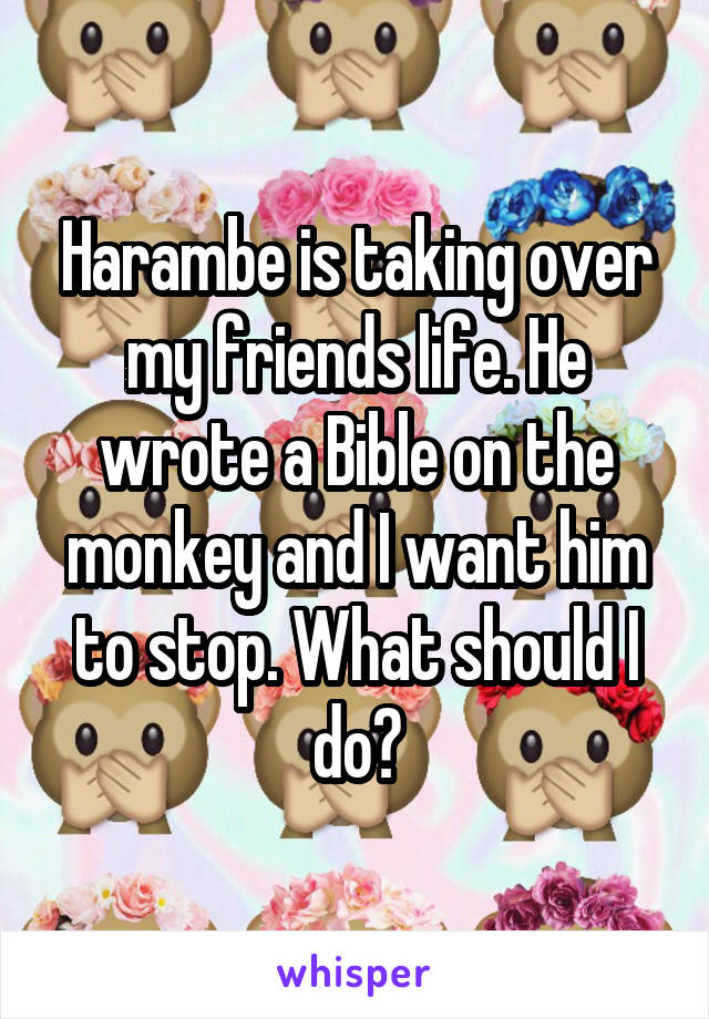 Harambe is taking over my friends life. He wrote a Bible on the monkey and I want him to stop. What should I do?