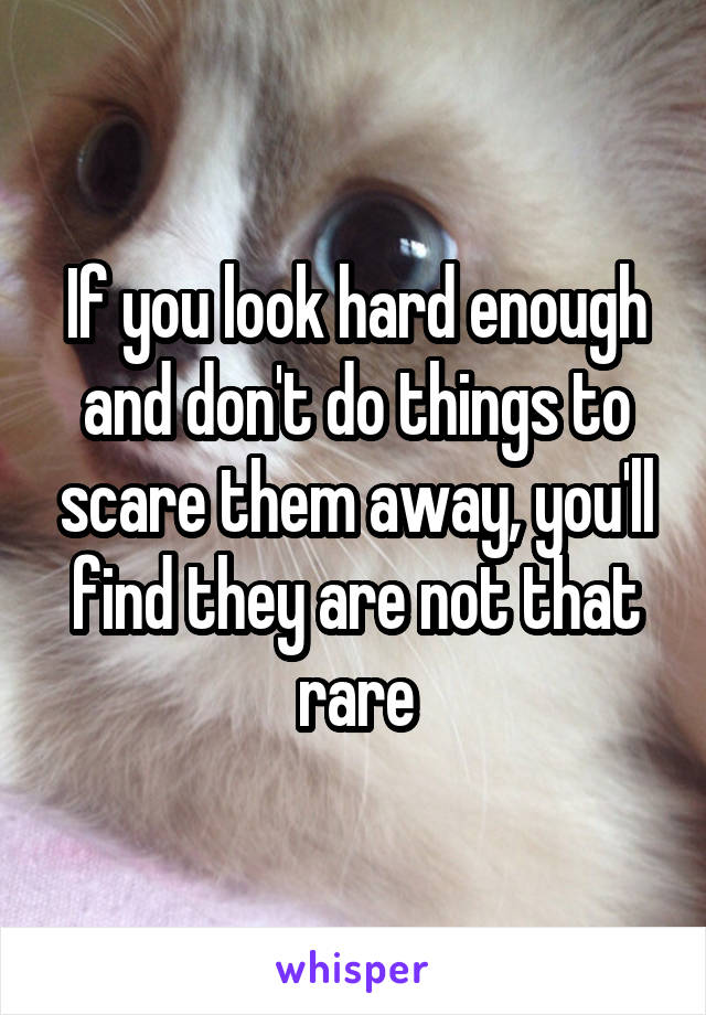 If you look hard enough and don't do things to scare them away, you'll find they are not that rare