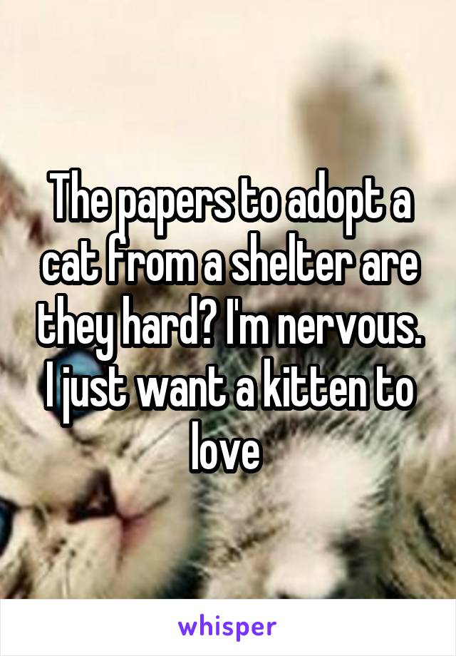 The papers to adopt a cat from a shelter are they hard? I'm nervous. I just want a kitten to love 