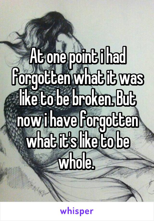 At one point i had forgotten what it was like to be broken. But now i have forgotten what it's like to be whole. 