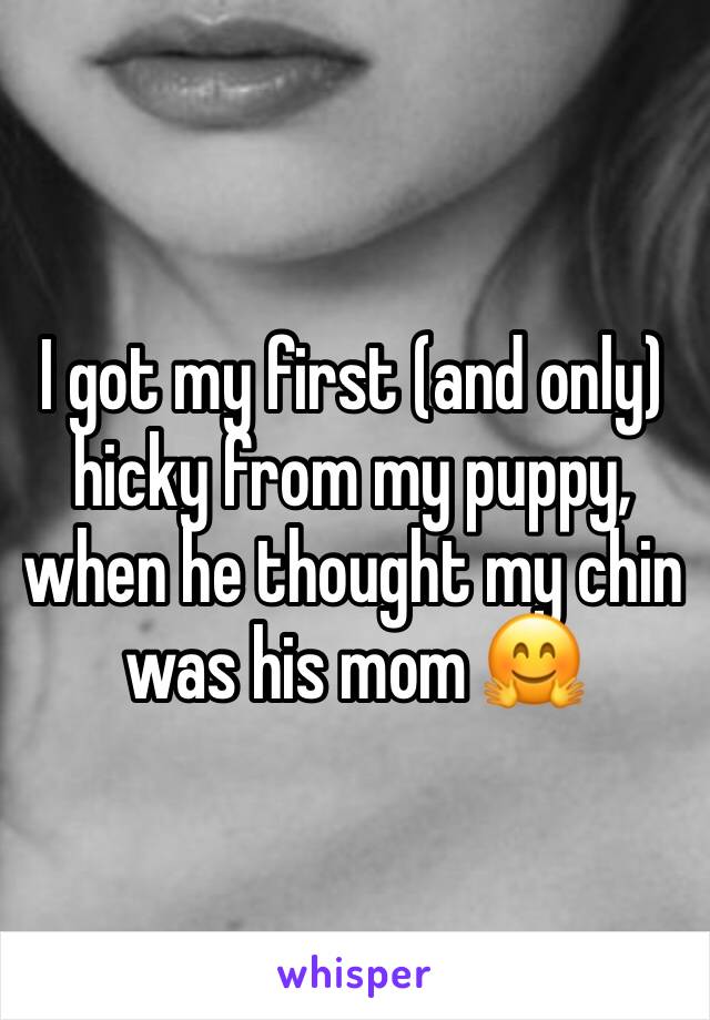 I got my first (and only) hicky from my puppy, when he thought my chin was his mom 🤗