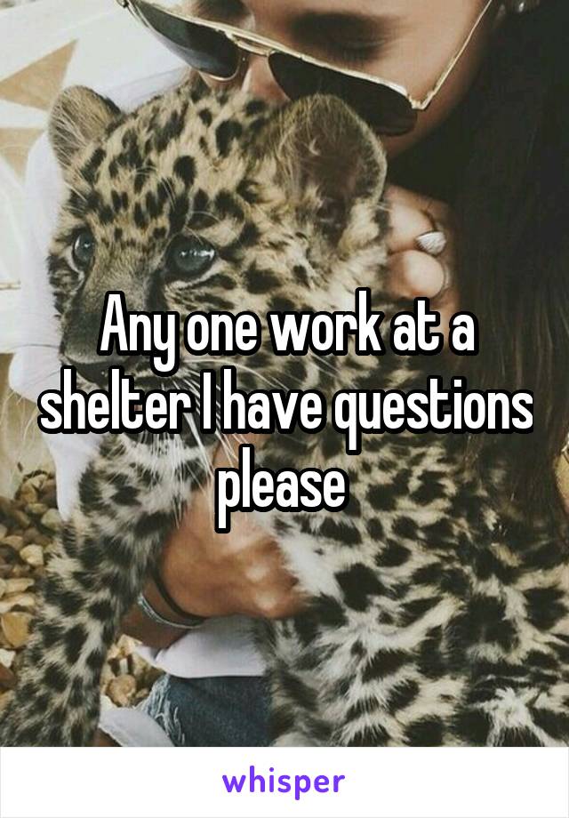 Any one work at a shelter I have questions please 