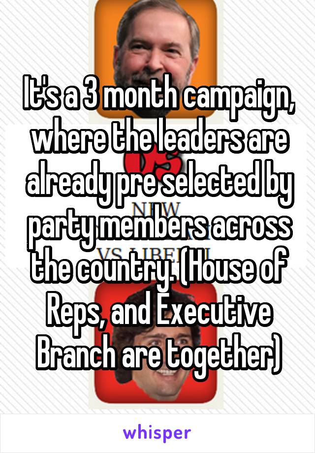 It's a 3 month campaign, where the leaders are already pre selected by party members across the country. (House of Reps, and Executive Branch are together)