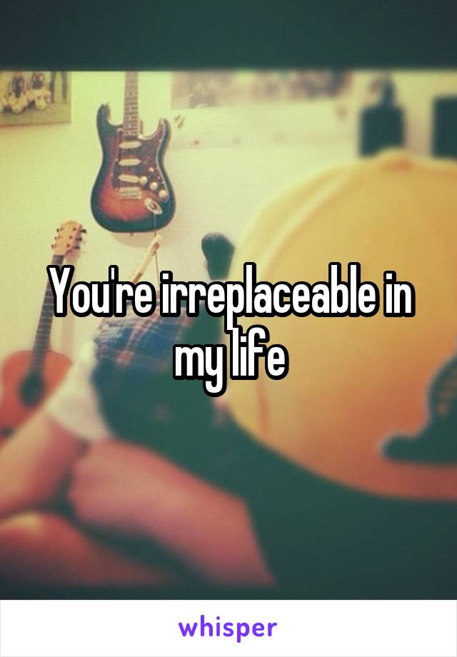 You're irreplaceable in my life