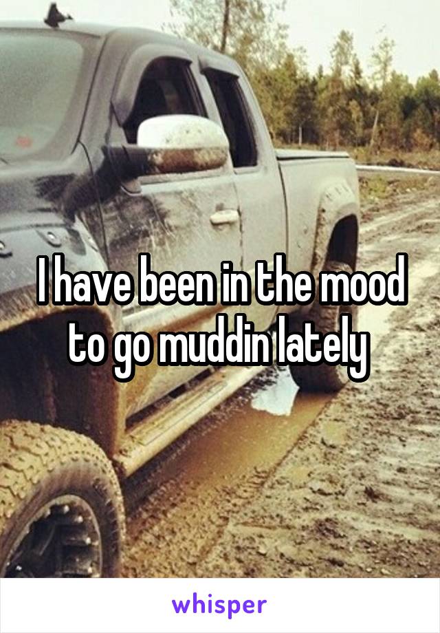 I have been in the mood to go muddin lately 