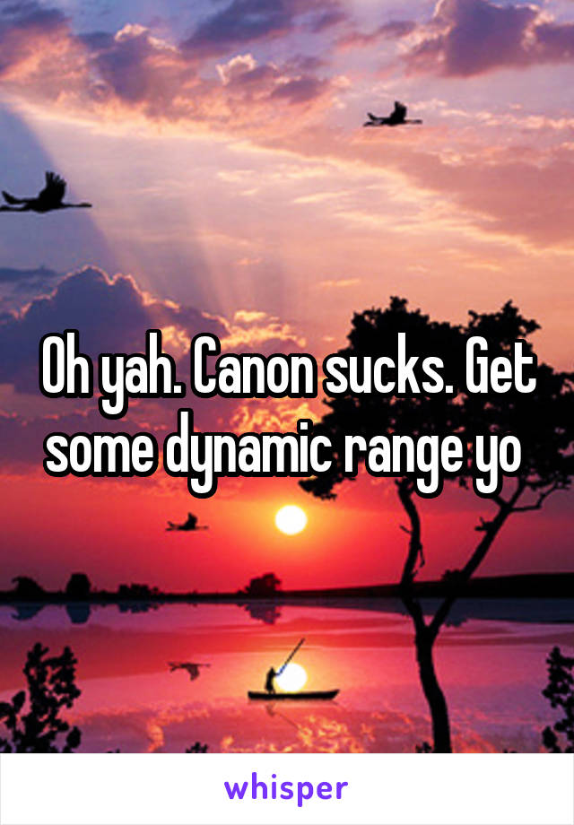 Oh yah. Canon sucks. Get some dynamic range yo 