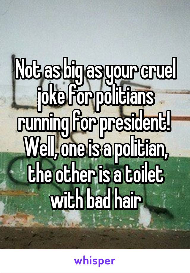 Not as big as your cruel joke for politians running for president! 
Well, one is a politian, the other is a toilet with bad hair