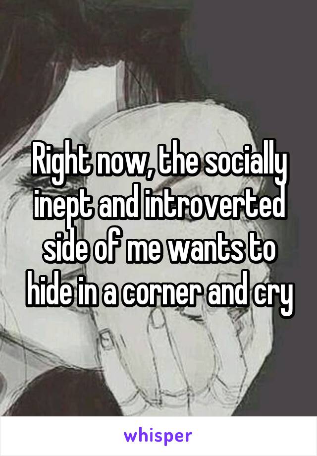 Right now, the socially inept and introverted side of me wants to hide in a corner and cry