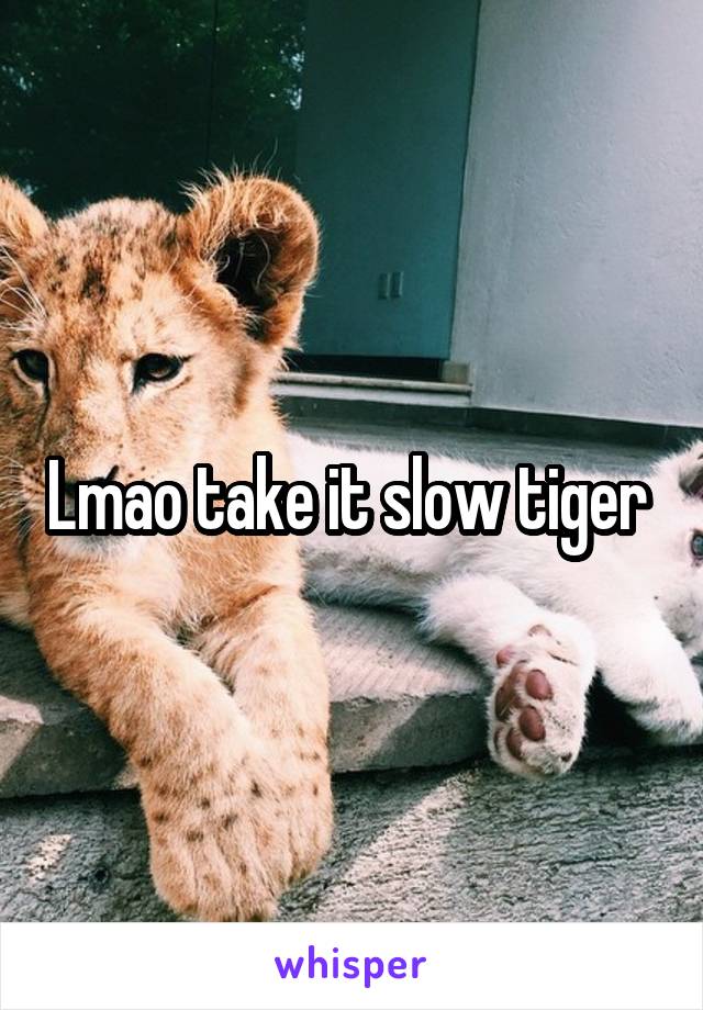 Lmao take it slow tiger 