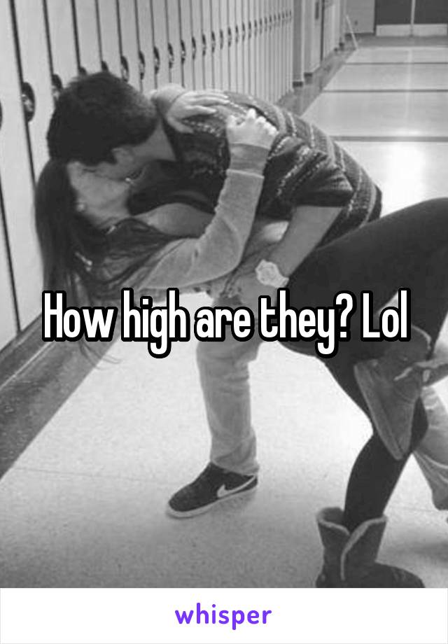 How high are they? Lol