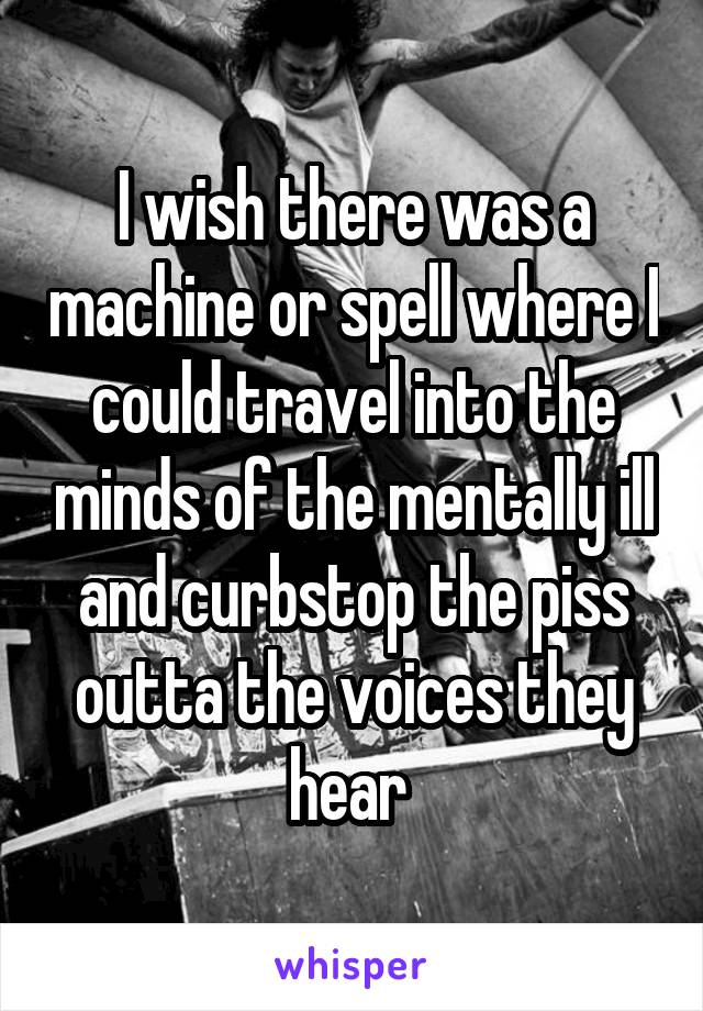 I wish there was a machine or spell where I could travel into the minds of the mentally ill and curbstop the piss outta the voices they hear 