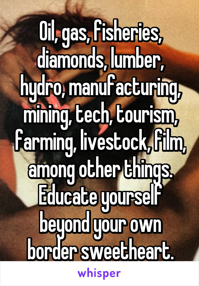 Oil, gas, fisheries, diamonds, lumber, hydro, manufacturing, mining, tech, tourism, farming, livestock, film, among other things. Educate yourself beyond your own border sweetheart.