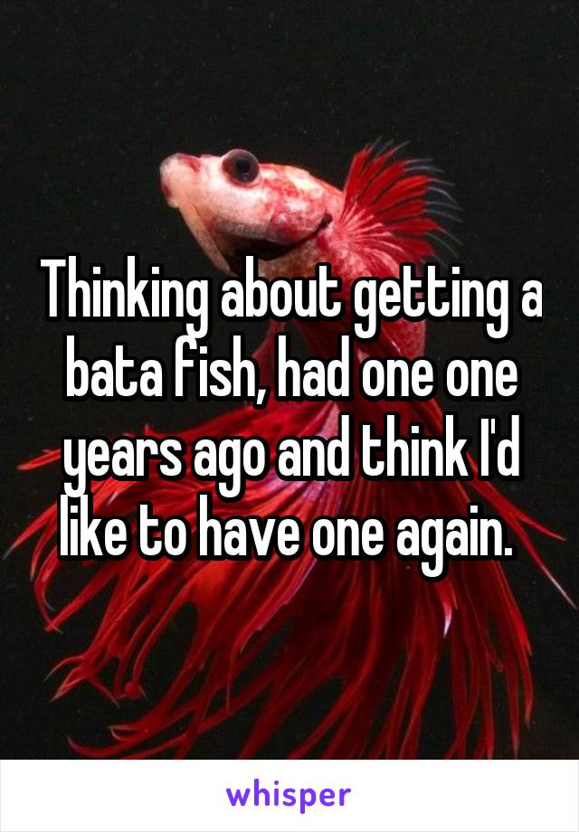 Thinking about getting a bata fish, had one one years ago and think I'd like to have one again. 