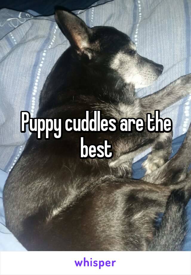 Puppy cuddles are the best