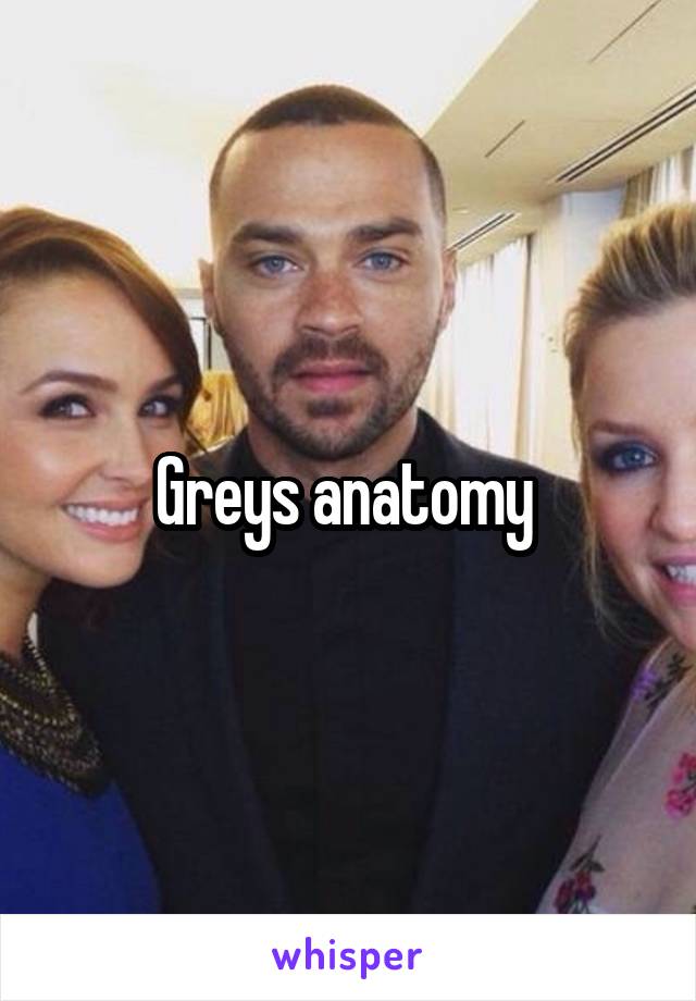 Greys anatomy 