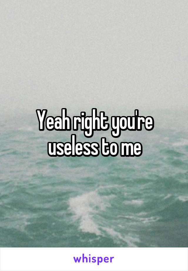 Yeah right you're useless to me