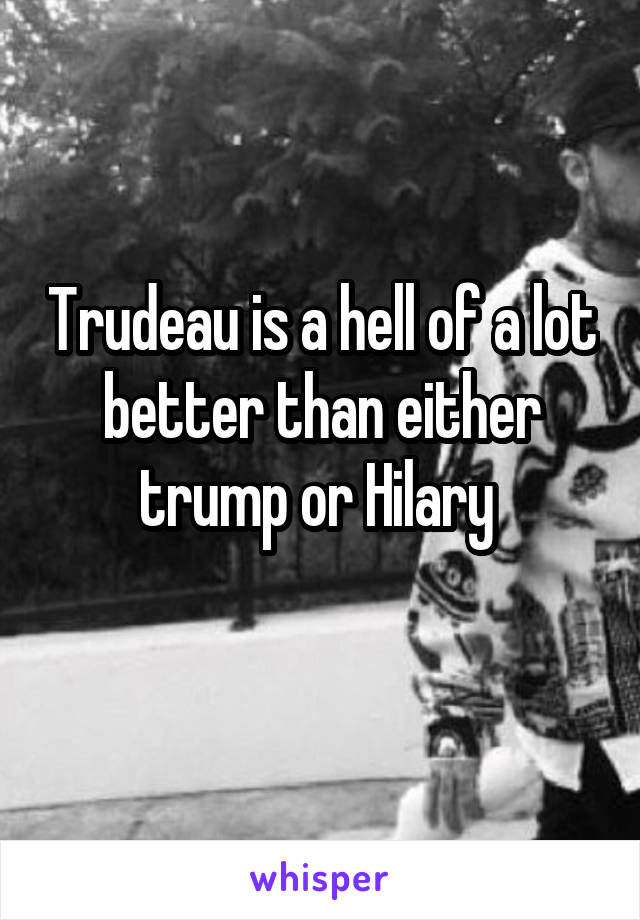 Trudeau is a hell of a lot better than either trump or Hilary 
